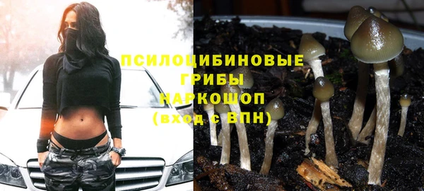 кокс Новокубанск