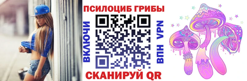 закладки Фёдоровский Псилоцибиновые грибы прущие грибы